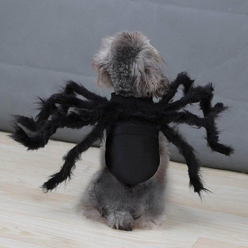 Spider Costume for Dogs