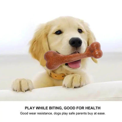 Tough Bone Chew Toy