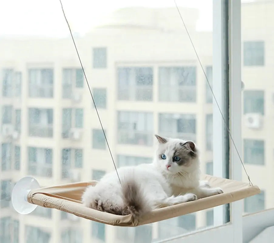 Cat Hanging Bed Shelf