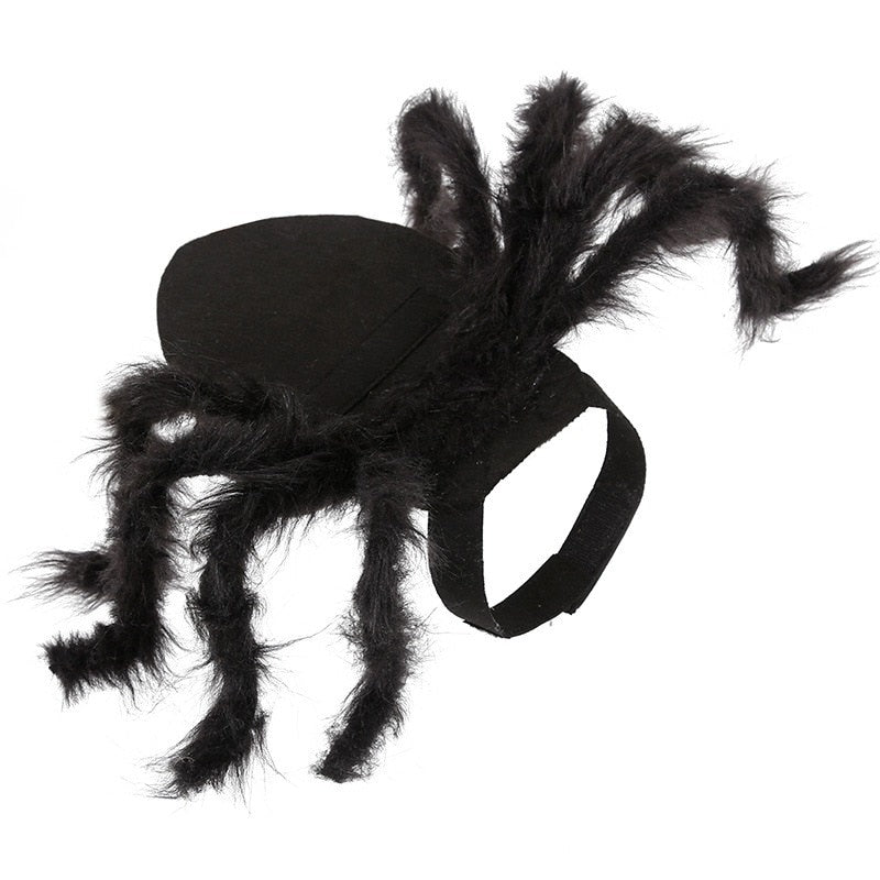 Spider Costume for Dogs