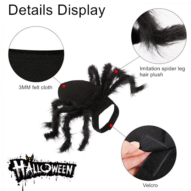 Spider Costume for Dogs